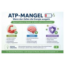 atp-mangel-chatgpt_image_10juni_2026_-_21_35_23-erstellt-mit-ki.jpg