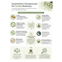 candida-uebersicht-chatgpt_image_31_mai_2026_08_54_35-erstelllt-mit-ki.jpg