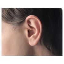 closeup-ear-ollyy.jpg