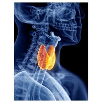 fotolia_114430848_l.jpg