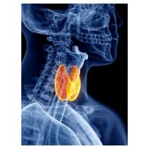 fotolia_114430848_web.jpg