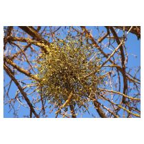 fotolia_30586356_l-verkleinert_2.jpg