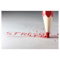 fotolia_38900164_l.jpg