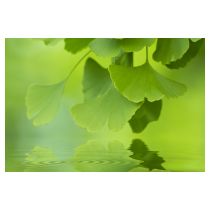 fotolia_42195970_xl.jpg
