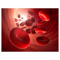 fotolia_48250572_s.jpg