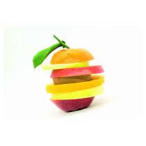 fotolia_50869328_l.jpg