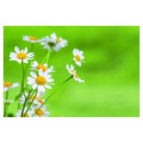 fotolia_52973541_l.jpg