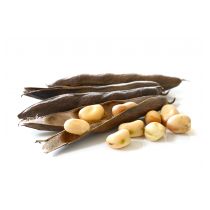 fotolia_68776995_l.jpg