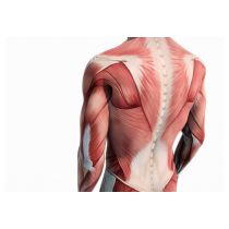 fotolia_71272377_s.jpg