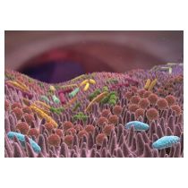 fotolia_92533760-klein.jpg