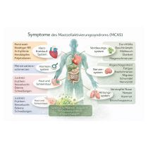 mcas-symptome-chatgpt_image-erstellt-mit-ki.jpg