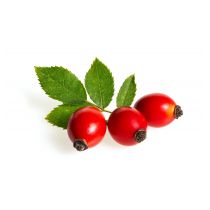 rosehip-berries-with-leaves-freepik-wildmedia_kopie.jpg