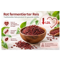rot-fermentierter-reis-chatgpt_image_12-_sept-_2026_11_45_42.png