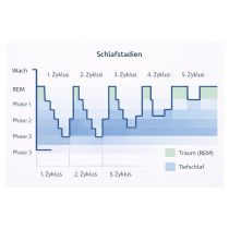schlafzyklen_und_stadienuebersicht-chatgpt-erstellt-mit-ki.jpg